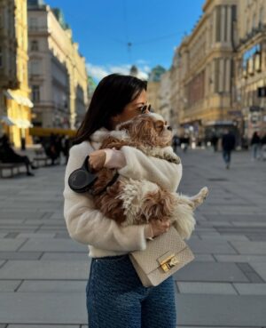 Lola Instagram - Valaki nagyon elfáradt a sok sétában. 🐶✨