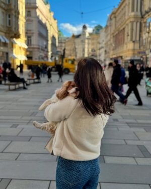 Lola Instagram - Valaki nagyon elfáradt a sok sétában. 🐶✨