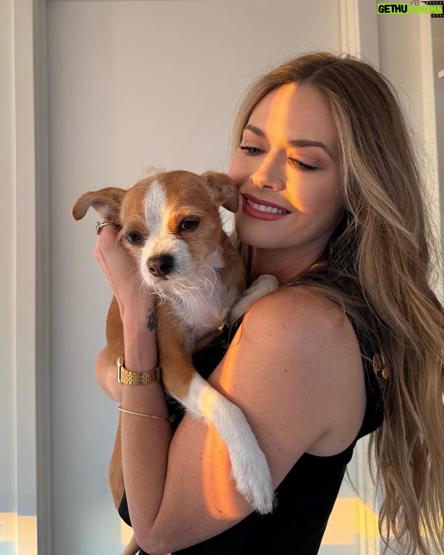 Maggie Lawson - 14.5K Likes - Golden Hour ✨
💄 @antonmakeup
🎀 @tildebymatilde