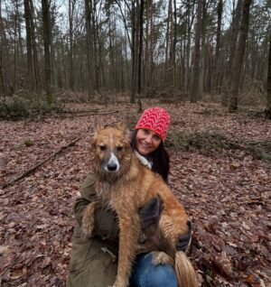 Małgorzata Pieczyńska Instagram - Spacer z tym słodziakiem to czysta przyjemność! 🐾❤️ Czy Perseusz również  skradł Wasze serce?🫶

#Perseusz #niedziela #spacer #pies #przyjaciel