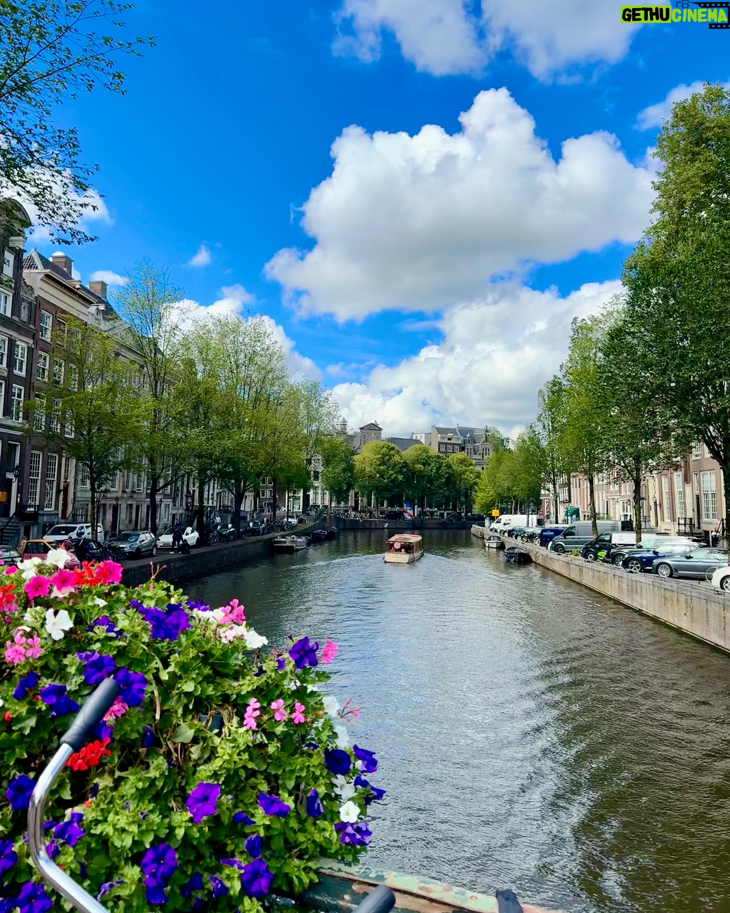Malhaar Rathod - 6.1K Likes - ‘Dam good vibes 🚲🇳🇱💙
October ‘24🌷