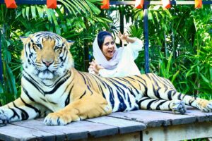 Mashura Basheer Instagram - Keep calm and stay fierce.🤫

#pattaya #thailand #tigerpark #mashurabasheer #basheerbashi