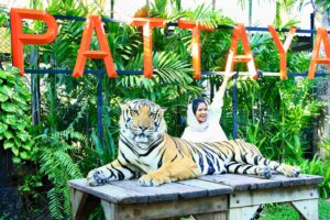 Mashura Basheer Instagram - Keep calm and stay fierce.🤫

#pattaya #thailand #tigerpark #mashurabasheer #basheerbashi