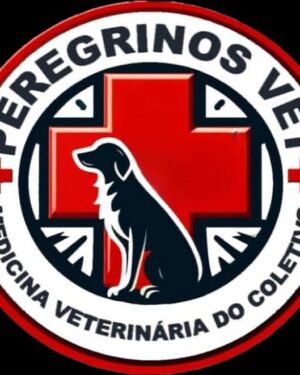 Maurren Maggi Instagram - Fala pessoal !!!
Vamos ajudar o trabalho voluntário desse amigo @vet_marrara 
Sigam a página do @peregrinosvet e saibam mais sobre 
esse trabalho incrível deles!! 

@peregrinosvet
 @focinhosdetrancoso
 @gatinhozen 
@felipebecari use

Já foram castrados por nós mais de 25 mil animais na bahia em 2 anos
E mais de 40 mil atendimentos entre castração e consultas

 Bora ajudar !!!!