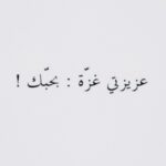 Mayan ElSayed