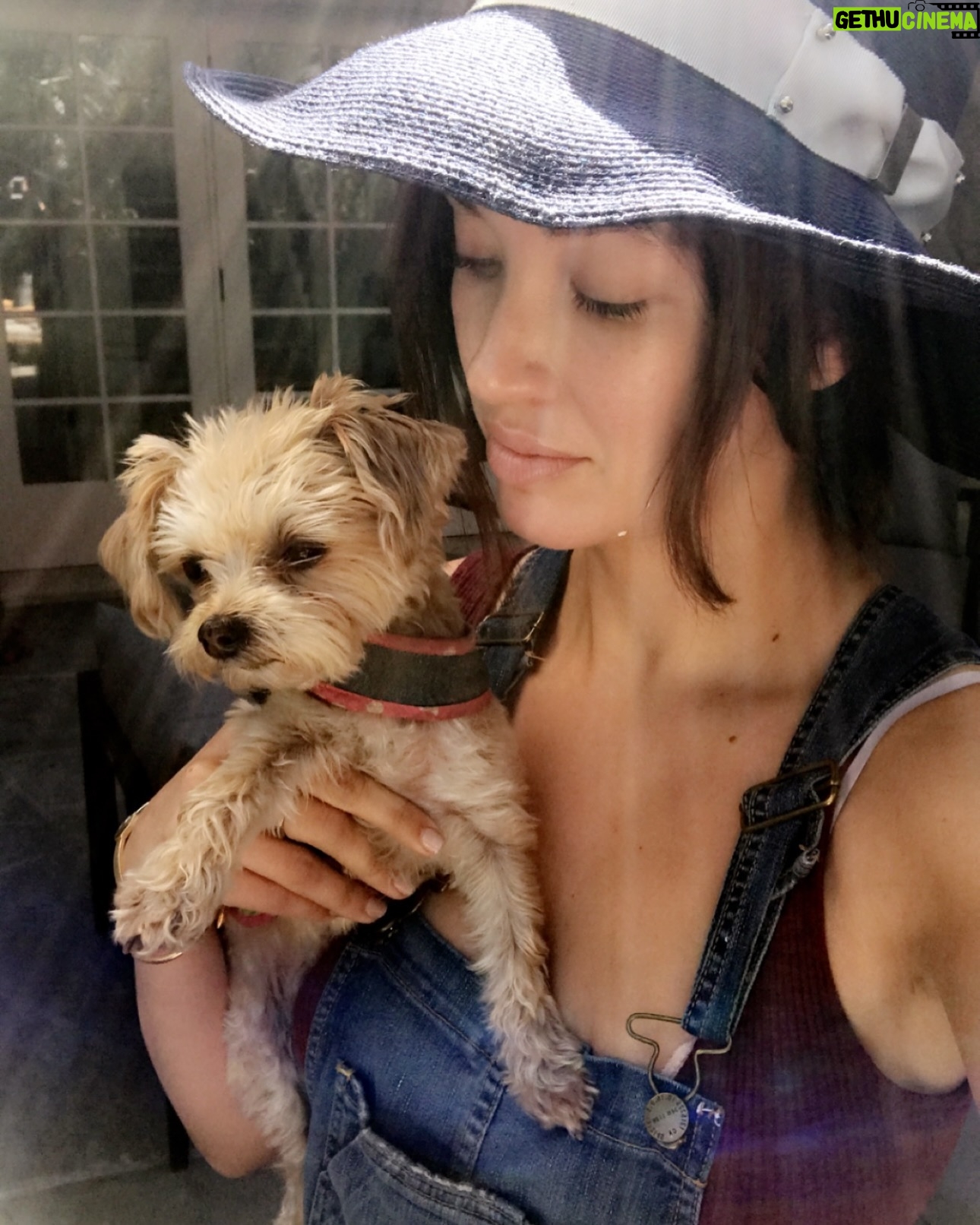 Melissa Bolona - 393 Likes - Dearest Poppy, my souls mate, so tiny but so mighty. Every day you are severely missed since your passing exactly 2 years ago today 11/22/22 you have not left my mind&heart. You are very present in everything I do leading my life with a lot of light and love. You are so majestical and so powerful and thank you for all the gifts you’ve given me. it’s never a goodbye, but I’ll see you one day soon and thank you for being forever present in my life. To Poppy and beyond🚀, Poppy to Mars 🪐🌏POPPY ENERGY 🪄 . Special agent GHI😍