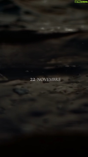 Mina - 15.5K Likes - MINA - BUTTALO VIA
NUOVO ALBUM | 22 NOVEMBRE