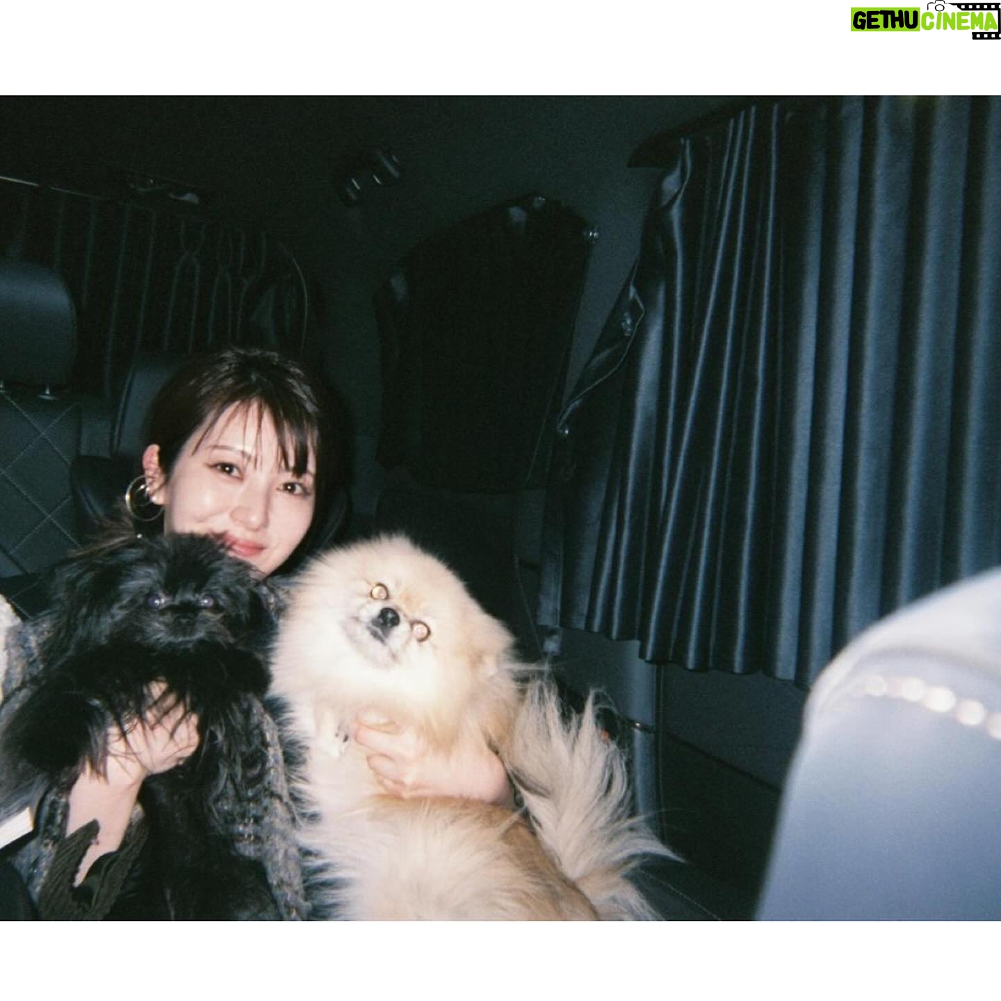 Minami Hamabe - 198.3K Likes - 『浜辺美波カレンダー2025.04-2026.03』発売開始しております🐠
Instagramでバタバタしてしまい投稿が1日遅くなってしまい申し訳ございません🐠
2025年4月はじまりのカレンダーです🐠
お部屋に1ついかがですか?なんなら各お部屋に1つずついかがですか?🐠
今回のカレンダーもとっても素敵に撮影していただきました🐠
オフショットはおちゃらけすぎて、投稿して残すには憚られたので写真の枚数は少なめです🐠
3枚目まではカレンダーのオフショット、4枚目は映画『アンダーニンジャ』数少なすぎて投稿できなかったオフショット、5枚目はある日の愛娘たち、です🐠
今も両手に犬状態で文章が打ちにくくて幸せです🐠
もふりもふられもふもふれ🐠
ぜひチェックしてみてくださいね🐠