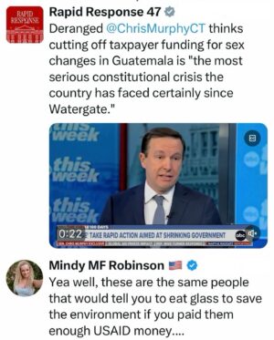 Mindy Robinson Instagram - All these people have left is lies, and they aren't even very good ones.....