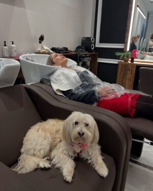 Mirto Alikaki Instagram - Αυτό δεν είναι κομμωτήριο είναι spa!!!Αγαπημένη κομμώτρια @despina.koukouli_official Αγαπημένο κομμωτήριο @despinakoukouli_hair_boutique με απίστευτα προϊόντα cokooni και με την καλύτερη παρέα , την μικρή μου Αλις . Αποτέλεσμα που τα σπάει !!!!! #hair #hairstyle  #hairsalon