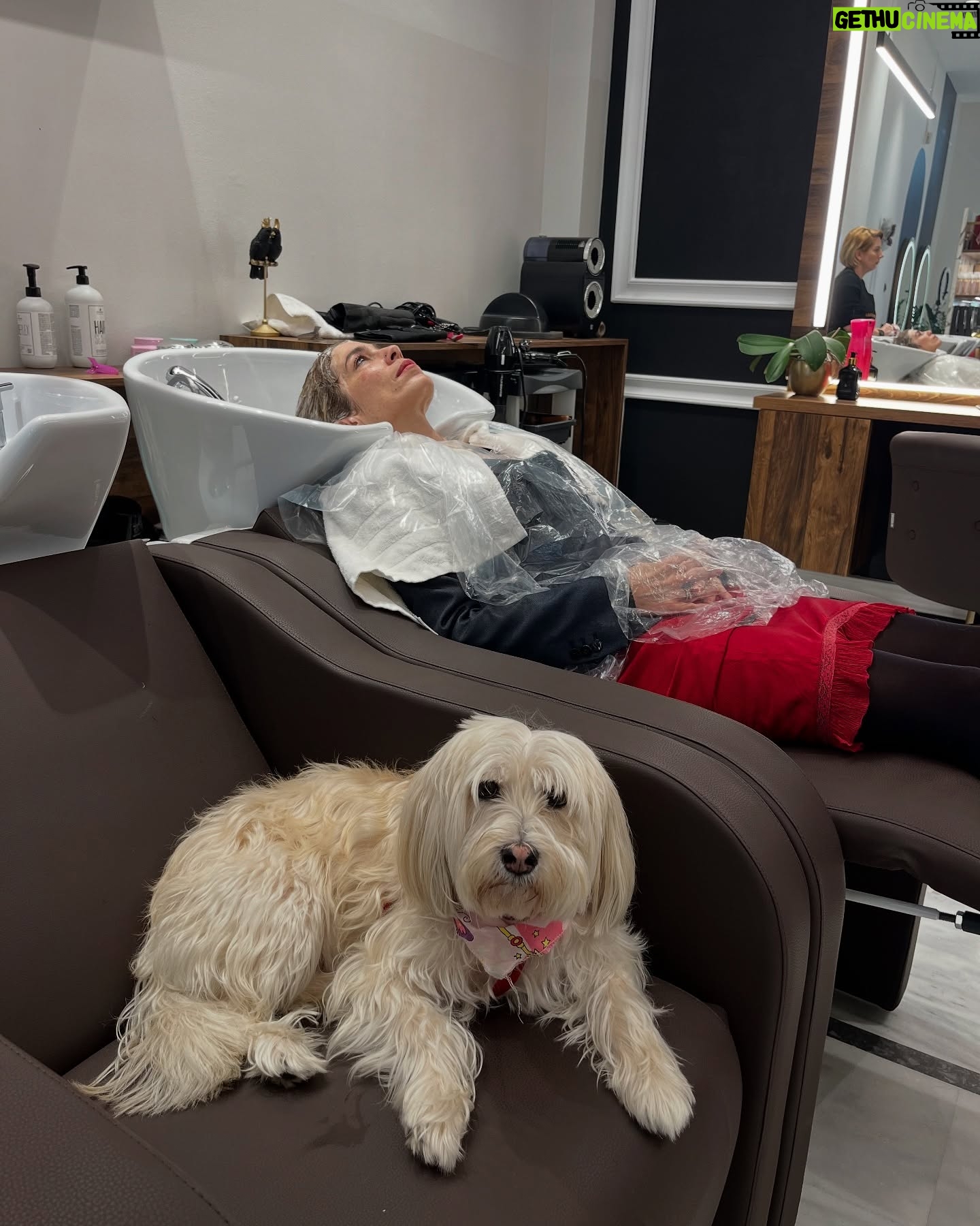 Mirto Alikaki - 3.6K Likes - ĪĻ
ĻĻ Ī“ĪµĪ½ είναι κομμĻĻĪ®Ļιο είναι spa!!!ĪγαĻημĪνη κομμĻĻĻια @despina.koukouli_official ĪγαĻημĪνο κομμĻĻĪ®Ļιο @despinakoukouli_hair_boutique με αĻĪÆĻĻεĻ
Ļα ĻĻĪæĻĻνĻα cokooni και με Ļην καλĻĻεĻĪ· ĻαĻĪα , Ļην μικĻĪ® μοĻ
ĪĪ»Ī¹Ļ . ĪĻĪæĻĪλεĻμα ĻĪæĻ
Ļα ĻĻάει !!!!! #hair #hairstyle #hairsalon
