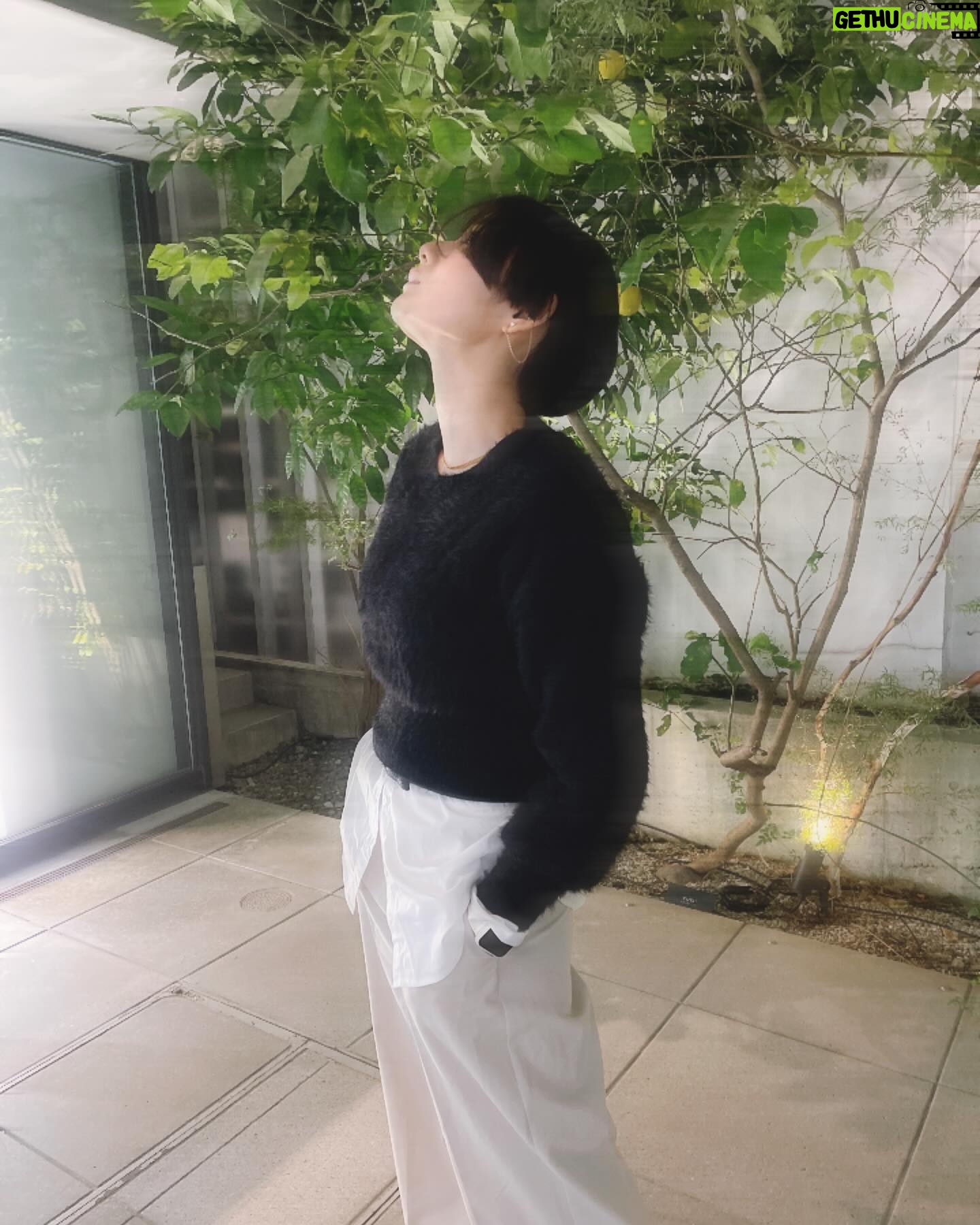 Moemi Katayama - 4.8K Likes - ✂︎❤️
ロングヘアー推しの方々すみません🙏
役作りでショートヘアになりました!
赤ちゃん以来の短さです...👶たぶん
まだ慣れなくて自分で上手くスタイリングできない笑
でもドライヤーの楽さは最高です✌︎
#moemikatayama