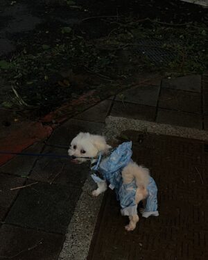 Moon Lee Instagram - 不是在運動就是在去運動的路上，很快樂！

放棄並不等同於失敗，是今日意外獲得的句子
無敵感謝這個總結！又可以開始了！