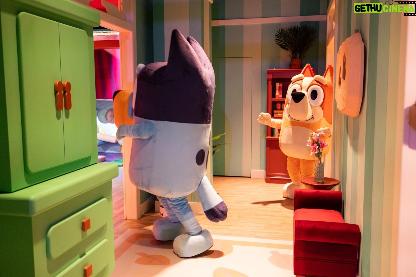 Myf Warhurst - 27.5K Likes - More from Muffin and Myf (the voice of Aunt Trixie!) on their very special visit to the interactive #Bluey experience, now open at CAMP New York! š§”šš¤ @campstores