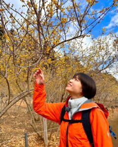 Actress Nao Minamisawa HD Photos and Wallpapers March 2025