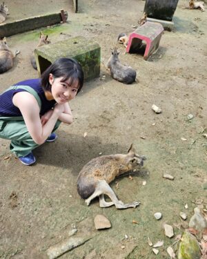 Nao Toyama Instagram - やっほ～！

この間ラジオでお話ししたのですが、

先日、家族旅行で群馬と長野に行ってきました～🏞️

美味しいものや自然の空気に触れてリフレッシュできました！

写真は群馬サファリパーク！
ロバにエサあげてるのはおばあちゃん！😌

おさるさんや、名前は忘れちゃったけど可愛い動物たちに会えて癒されました😂

私のオフィシャルクラブ「虹のわっか」では、
旅の合間に撮った動画もちょこちょこアップしていきますね！もしよろしければ見てみてね！

今日もお疲れ様でした！
お休みなさい～🌃

#群馬サファリパーク