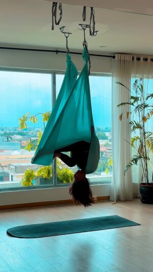 Naveen Waqar Instagram - Flipping into the weekend like
@yogaliftstudio 
.
.
.
#navinwaqar #aerialyoga