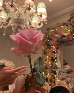 Noor Khan Instagram - 💐