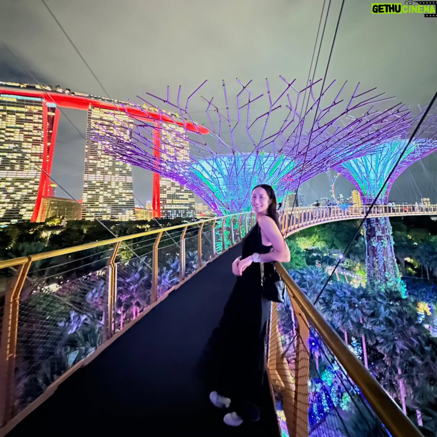 Paige Chua - 2.6K Likes - Christmas may be over but the magic lives on...
Hope you had a wonderful Christmas.
🩷🎄