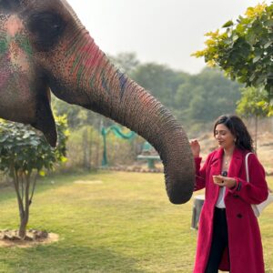 Plabita Borthakur Instagram - I had a wonderful experience meeting Rajkumari. Thank you, @elephant_activity_jaipur! Growing up in Assam, I often visited Kaziranga National Park with my family and saw elephants in their natural habitat. However, I never had the chance to interact with them up close. This time, I had the joy of patting, hugging, and feeding Rajkumari. She was incredibly loving and humble- it was an unforgettable experience! 
💛💛💛
.
.
.
.
.
.
.
.
.
#plabitaborthakur #elephant #elephants #wildlife #animallove #jaipur #jaipurdiaries #nature #happiness #life #love
