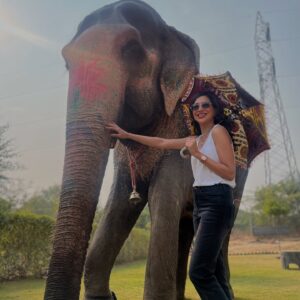 Plabita Borthakur Instagram - I had a wonderful experience meeting Rajkumari. Thank you, @elephant_activity_jaipur! Growing up in Assam, I often visited Kaziranga National Park with my family and saw elephants in their natural habitat. However, I never had the chance to interact with them up close. This time, I had the joy of patting, hugging, and feeding Rajkumari. She was incredibly loving and humble- it was an unforgettable experience! 
💛💛💛
.
.
.
.
.
.
.
.
.
#plabitaborthakur #elephant #elephants #wildlife #animallove #jaipur #jaipurdiaries #nature #happiness #life #love