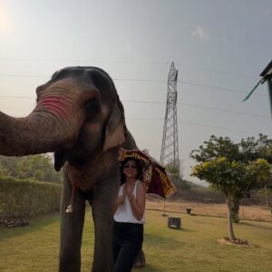 Plabita Borthakur Instagram - I had a wonderful experience meeting Rajkumari. Thank you, @elephant_activity_jaipur! Growing up in Assam, I often visited Kaziranga National Park with my family and saw elephants in their natural habitat. However, I never had the chance to interact with them up close. This time, I had the joy of patting, hugging, and feeding Rajkumari. She was incredibly loving and humble- it was an unforgettable experience! 
💛💛💛
.
.
.
.
.
.
.
.
.
#plabitaborthakur #elephant #elephants #wildlife #animallove #jaipur #jaipurdiaries #nature #happiness #life #love