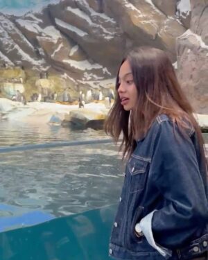 Pooja Shanka Instagram - Met my extended family members that evening 🐧😜

Thanks to @legsgo_holidays for making this happen ⭐️😍