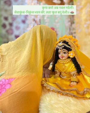 Priyanka Pandit Instagram - कृपा करो अब नवल नवेली।
सेवाकुंज-निकुंज भवन की, लता फूल बनूं वेली॥ [1]
छकी रहौं रस माती नित ही, छोड़ो नांही अकेली।
श्रीगोपालहित हरि स्वामिनी, जैसे फूल चमेली॥ [2]
 #krishna #radhe #radhekrishna