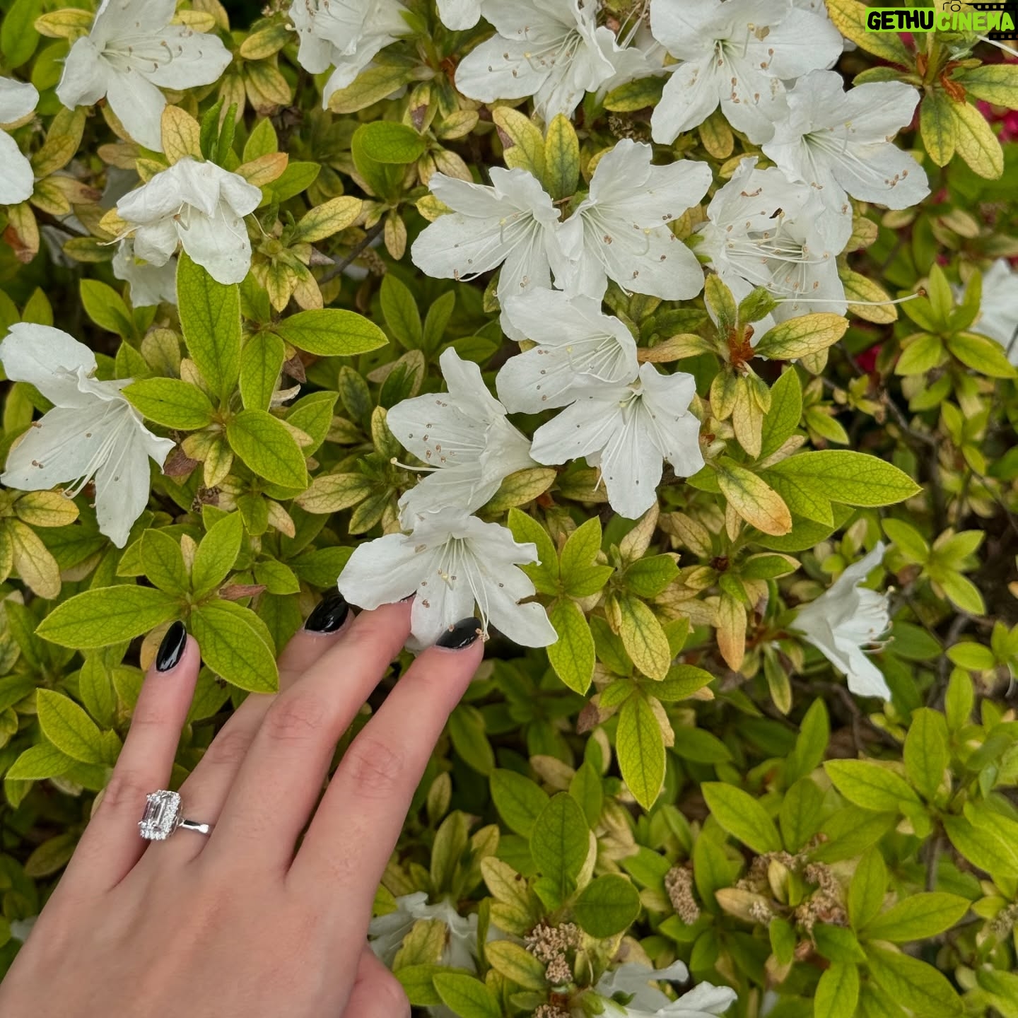 Ranty Maria - 128.5K Likes - my dream ring… and i’m blessed. 🖤🤍