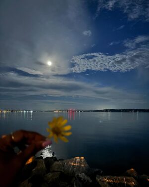Rasika Vengurlekar Instagram - My type of Memorable Evening ✨✨

#whiteRock #Canada #vancouver #beachvibes #sunsets #moonlight #breezywalkway #soulfulpeople #amazingview #peace