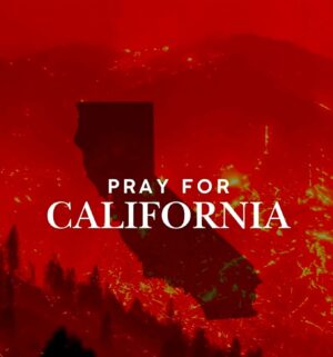 Rebecca Gayheart Instagram - The devastation is heartbreaking 💔
