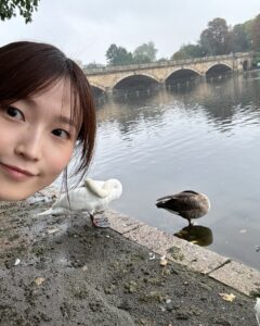Actress Riho Sayashi HD Photos and Wallpapers December 2024