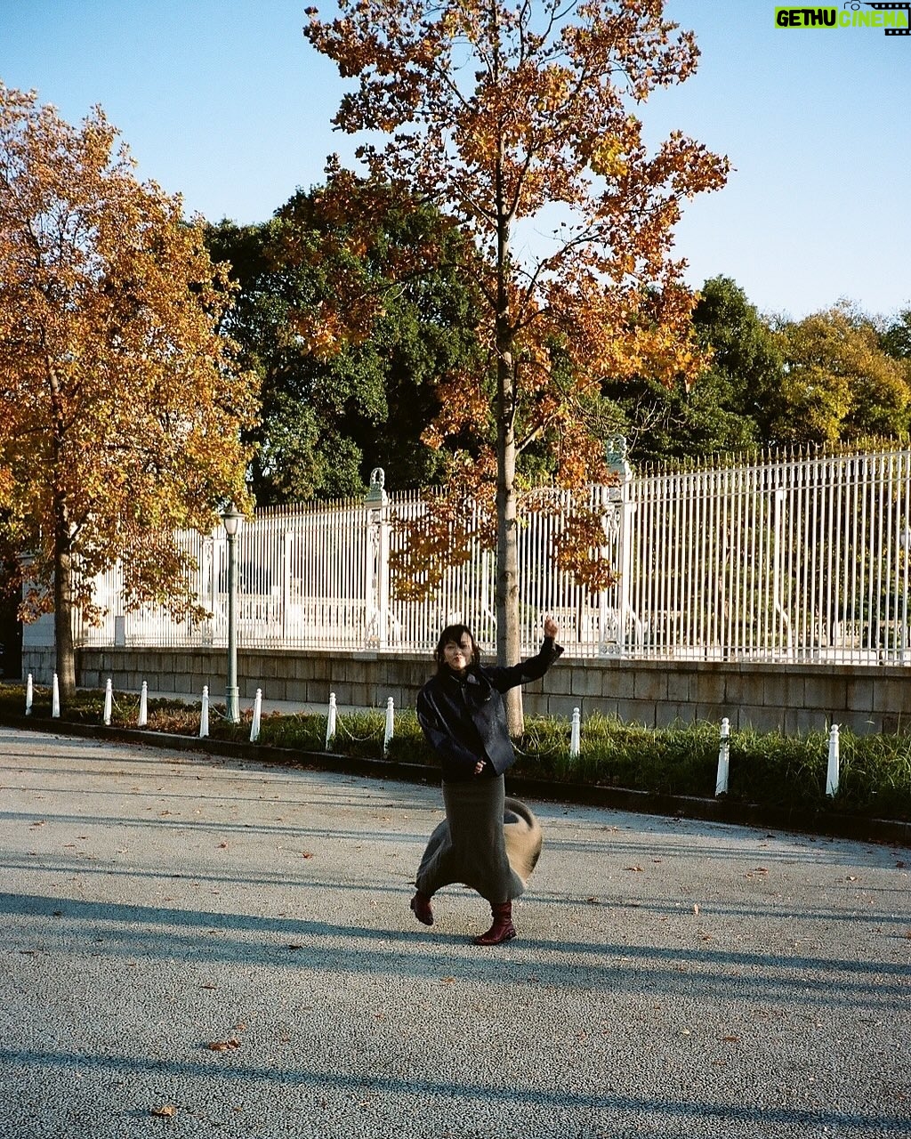 Rila Fukushima - 3 Likes - 🍁
#autumn
#INFJ
🍁🤭
