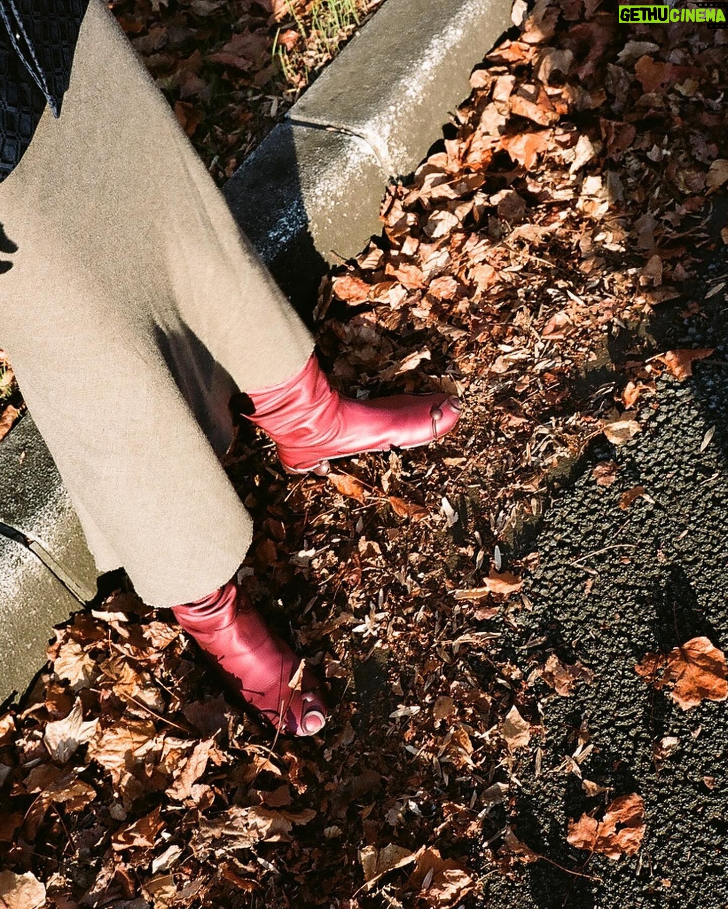 Rila Fukushima - 3 Likes - 🍁
#autumn
#INFJ
🍁🤭