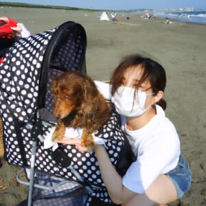 Rina Takeda Instagram - 先日、愛犬のラヴが天国に行きました。いつもSNSを通して可愛がってくれていたファンの方々から心配のメッセージがたくさん届いていたので、早くご報告しなくてはと思いながら時間が経ってしまいました。
この一ヵ月半、何も手につかないほどバタバタしていたので、私自身ようやく気持ちを落ち着かせて今この文章を書いています。

33年生きてきて、誰かのためにここまで涙を流したのは初めてでした。覚悟はあったものの、ラブが急激に体調を崩してからの一週間は現場に行くのも心苦しかったけど、家族で支え合いラブも寂しい思いをせず過ごせたと思います。
危篤状態になってからも現場と実家を行き来していたので、最後の日は仕事から帰ってくるのを待っていてくれて、時間を共にすることができました。精一杯の「ありがとう」と「だいすき」を伝えて、家族でラブを囲んでたくさんお話をしました。
最期は大好きな母に撫でられながら、苦しむことなく息をひき取り、優しい顔で眠っていました。
高校生の頃から一緒に過ごしてきたので私にとっては妹のような存在でした。でもいつの間にか私より先に大人になって、昔はあんなに甘えん坊だったラブさんが大人になったら逆にクールになり、ベタベタ甘える私に「だるいよーゔぅー」と時々あしらうようにもなって😂、ラブの方がお姉ちゃんのような存在になっていたなぁなんて思う事もあります。

先日、母がふと「あんなに小さいのに、存在感すごかったよね。ラブがいないだけでこんなに家が広く静かに感じるんだもんね」とリビングで呟いていました。
ラブと過ごした16年間は思い出がありすぎて、写真や動画を見ては愛おしさに溢れていて、今でも涙が止まらなくなります。
お別れは本当にさみしくて寂しくてたまらないけれど、頑張ってきたラブが楽になれたんだと思うと少しホッとする自分もいます。
これからは大好きなご飯もまたたくさん食べれるし、動かなかった後脚を使ってまた走り回れるから。
それでもやっぱり寂しいんだよなぁ
短い足でぴょんぴょん走ってる姿、大好きだったな

頑固で、驚くほど食いしん坊で、我慢強くて、優しくて立派な妹。そんなラブと出会えて幸せでした。
我が家にたくさんの愛をくれたラブさんは、天国に行ってもみんなから愛されると思います。姉犬イブもいるから安心です^_^ 
これからはぽっかり寂しい日々が続くけど、家族で支え合って元気に過ごしたいと思います！そして、弟分のウィル🐈が寂しい思いをしないように、たくさんの愛を与えていきます。

今までラブのこと可愛がってくれた皆さん、本当にありがとうございました。

皆さんのペット(家族)も
健康で愛に溢れた日々を過ごせますように^ ^

Thanks My little sister. Meeting you has made my life happy. I will love you forever.
When you go to heaven, run a lot and eat a lot We'll always think of you. I really love you.

I wish you and your pets happiness🍀