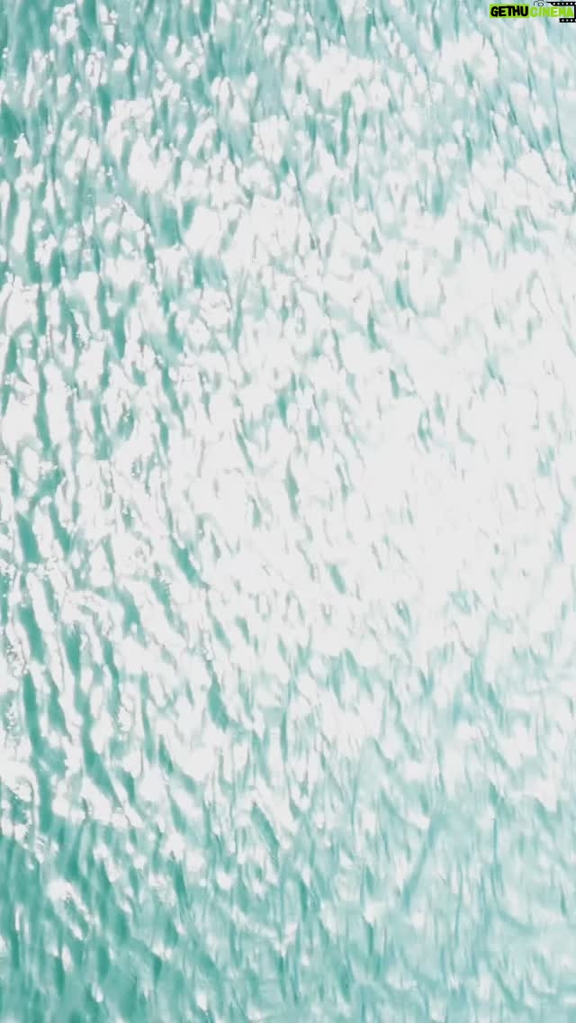 Rita Wainer - 3.4K Likes - Quem manda na minha cabeça é o mar 🌊 🤍 dois de fevereiro de 2025.
Video : @leonardoaraujx