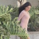 Ritika Badiani