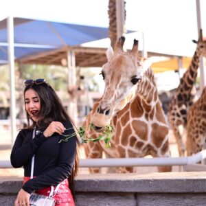 Riya Sharma Instagram - Made new FRAMDS! One leaf at a time! 🦒🫶

#abudhabi #emiratesparkzoo #travelinspo #ootd