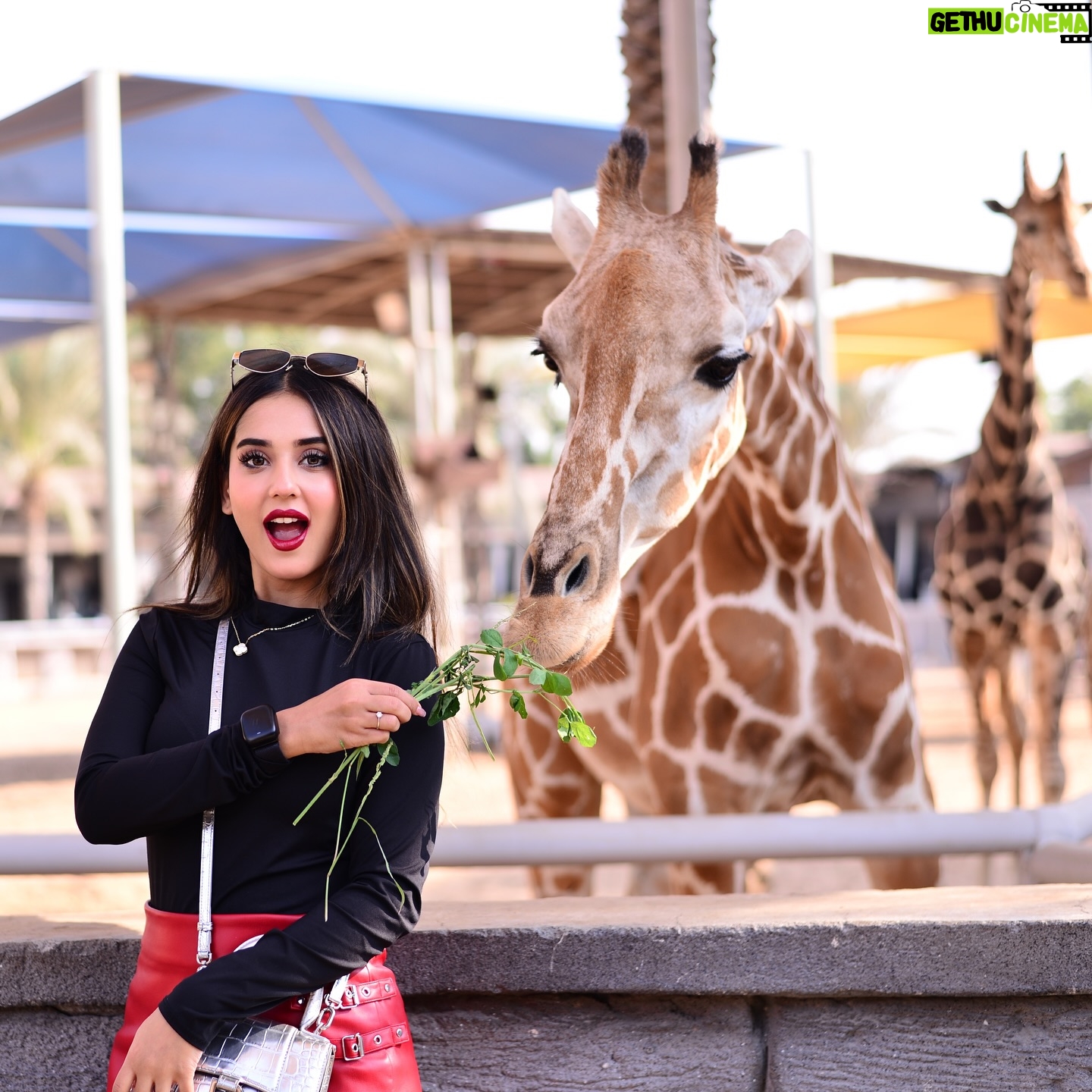 Riya Sharma - 38.3K Likes - Made new FRAMDS! One leaf at a time! 🦒🫶
#abudhabi #emiratesparkzoo #travelinspo #ootd