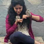 Samyukta Hornad