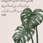 Sanam Chaudhry