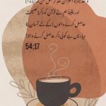 Sanam Chaudhry