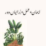 Sanam Chaudhry