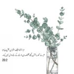 Sanam Chaudhry