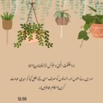 Sanam Chaudhry