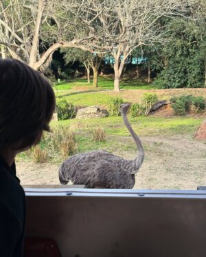 Sandy Instagram - Dias mágicos pra terminar de encher o tanque de amor e alegria antes de mergulhar de vez em 2025… 
Obrigada, @disneyworld.brasil!! 💜🙏🏻