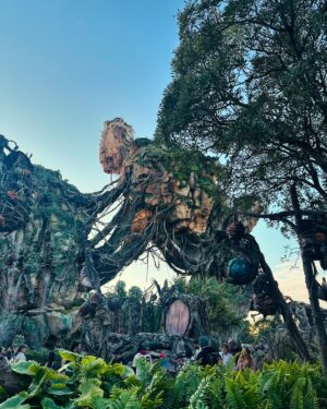 Sandy Instagram - Dias mágicos pra terminar de encher o tanque de amor e alegria antes de mergulhar de vez em 2025… 
Obrigada, @disneyworld.brasil!! 💜🙏🏻