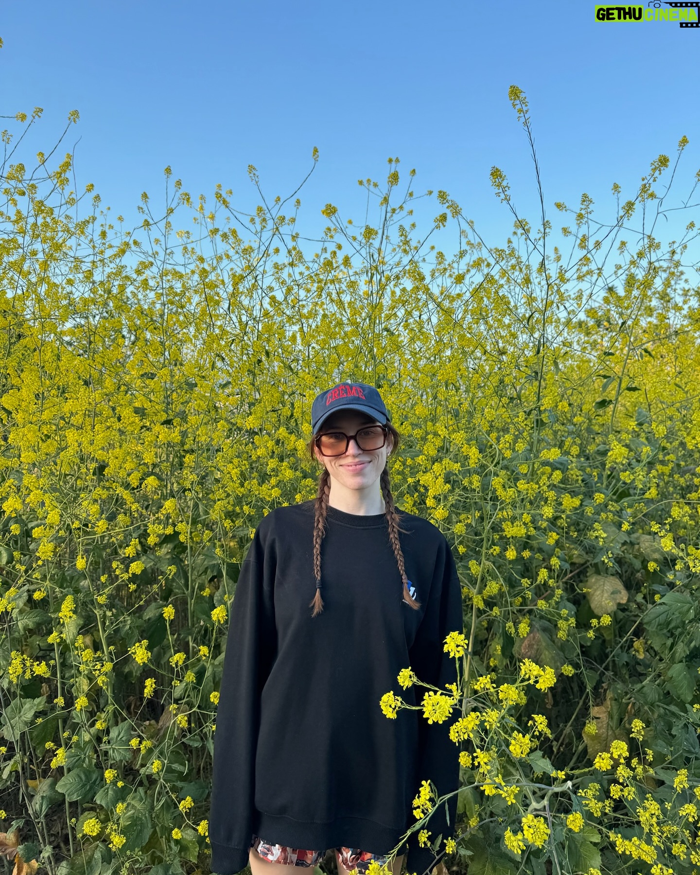 Sarah Close - 2.9K Likes - a year i keep pinching myself that i was so lucky to have
~ released 2 EPs of my fav music i’ve ever made
~ co writing kisses, my first PLATINUM record, watching it climb the charts across the world, a top 5 record in the uk, no 1 uk dance, no 1 dance in australia for 20 weeks, hearing it all over the radio… and it ending up on a bloody NOW album 😭
~ cut all my hair off
~ first time visiting canada
~ spent months living and travelling the US
~ a gazillion flights and jet lag naps
~ first time i drove on the wrong side of the road
~ first time working in abbey road studios
~ threw myself off a couple mountains
and in between it all so many other wonderful moments