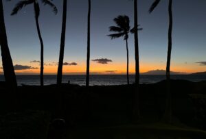 Sarah Dugdale Instagram - Went to Hawaii, had a good time 🌴