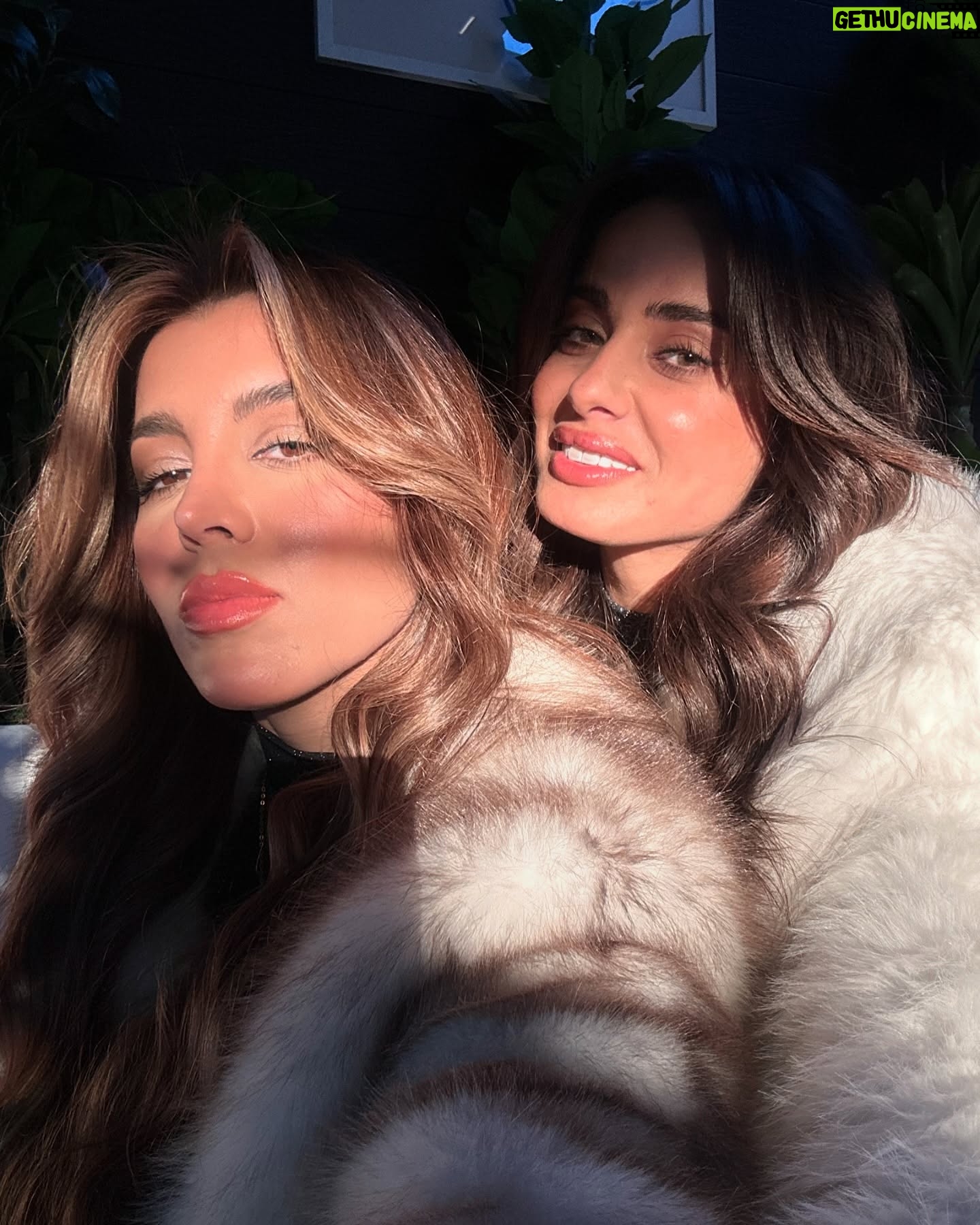 Shahad Salmman - 10.2K Likes - Beautiful day 🪬✨
#nofiliter needed 🐰🐿️
